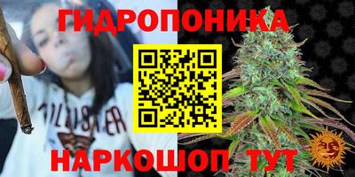 ECSTASY Обь